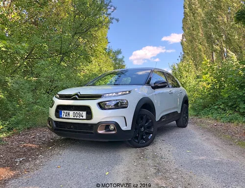 C4 Cactus Image